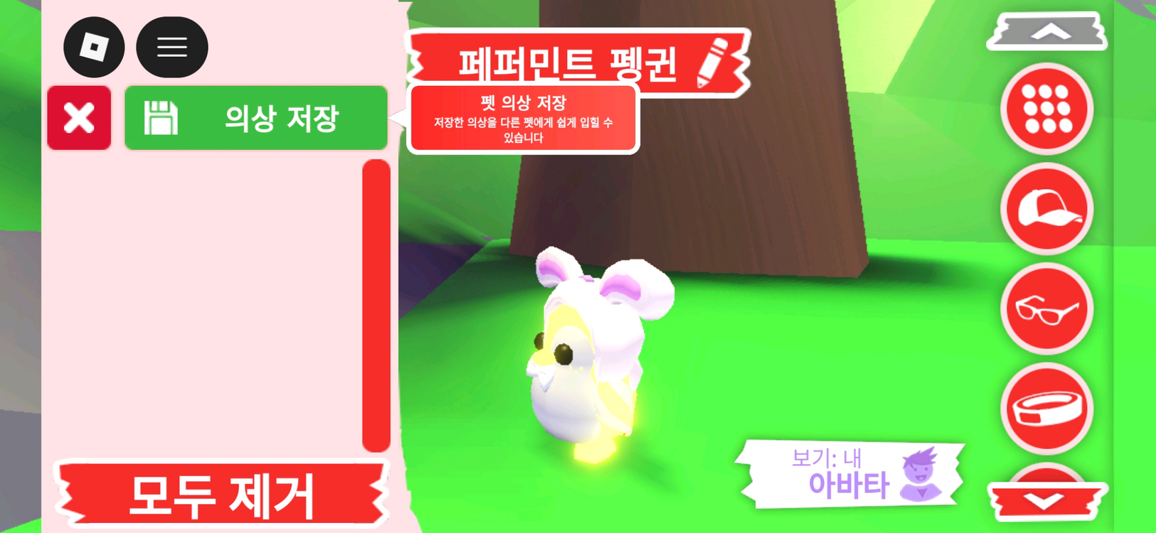 입양하세요 펫 메가네온 페퍼민트 펭귄(메페펭)판매합니다 이미지