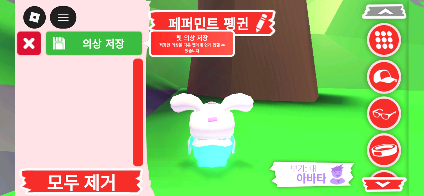 입양하세요 펫 메가네온 페퍼민트 펭귄(메페펭)판매합니다 이미지