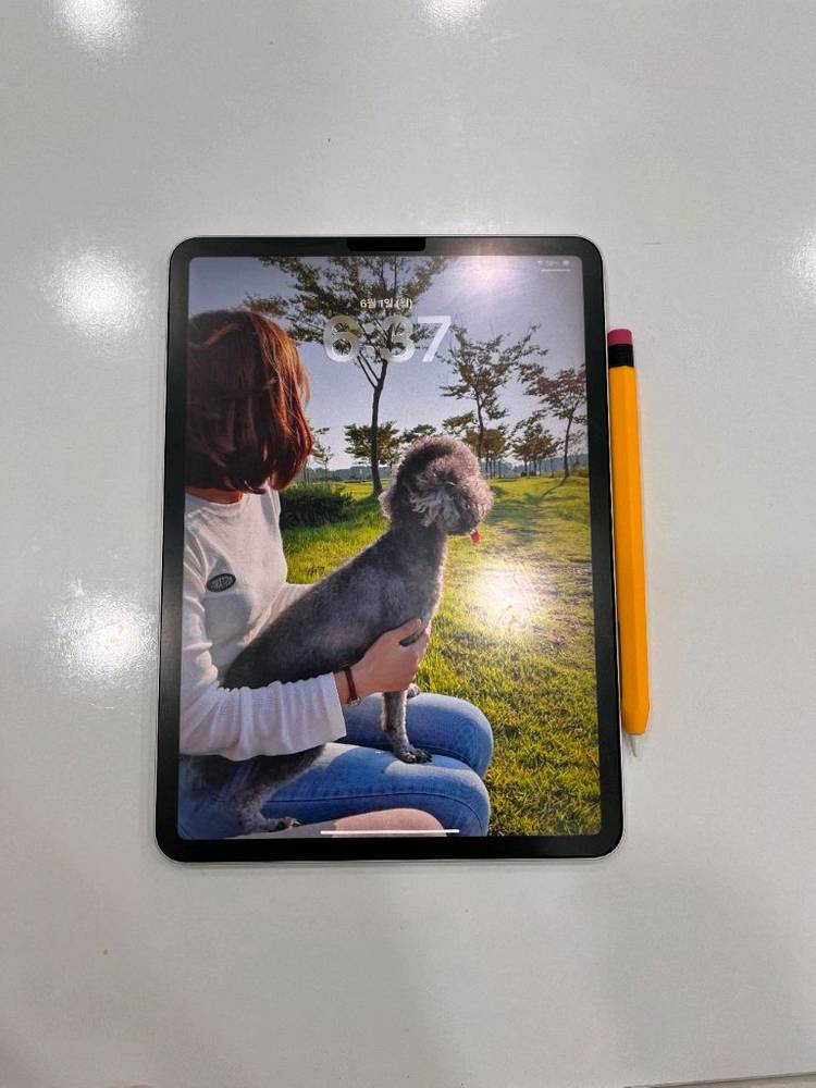 애플 아이패드 프로 iPad pro 11 256gb + 애플팬슬 2세대 이미지