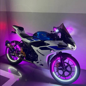 스즈키 gsxr125 25년식 풀튜닝 Rcb백스텝 요시무라 이미지