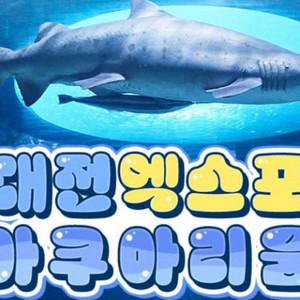 대전 엑스포(신세계) 아쿠아리움 모바일 입장권 (~6/9) 이미지