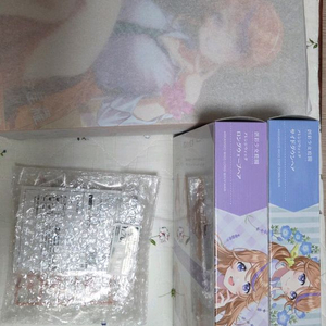 걸프라 창채소녀정원 이치죠 세이라 하복 특전포함 택포 이미지