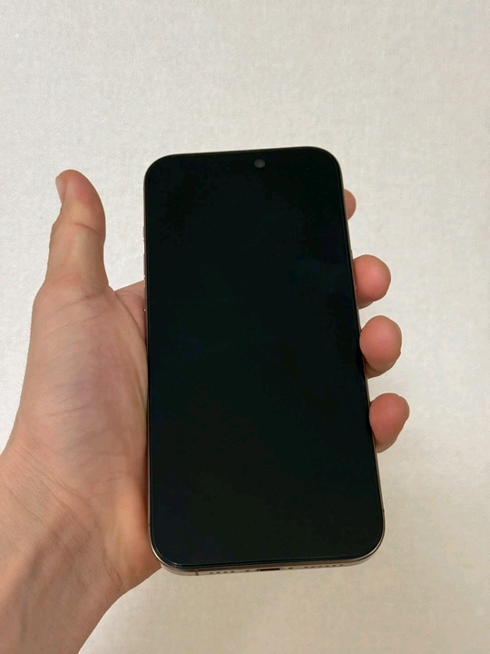 아이폰 16 프로 맥스 골드 256GB 이미지