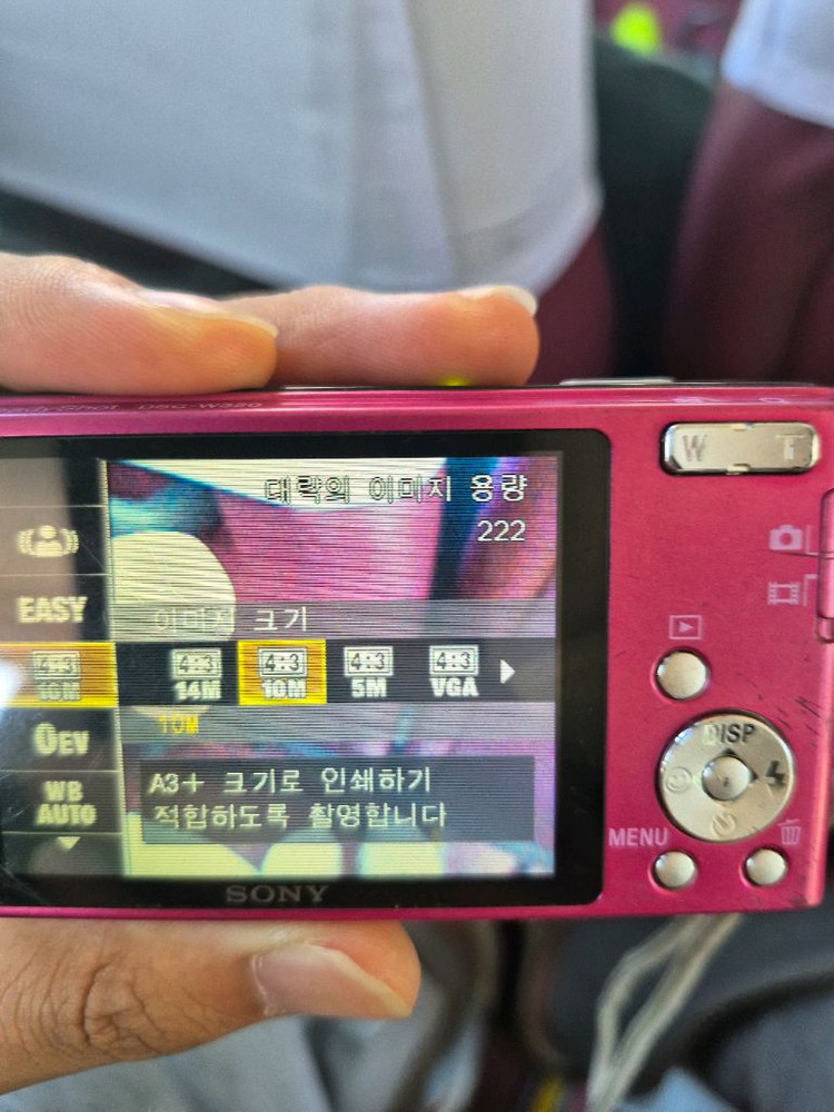소니 사이버샷 DSC-W350 이미지