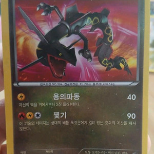 팬텀, 레쿠쟈 포켓몬카드 매입합니다 이미지