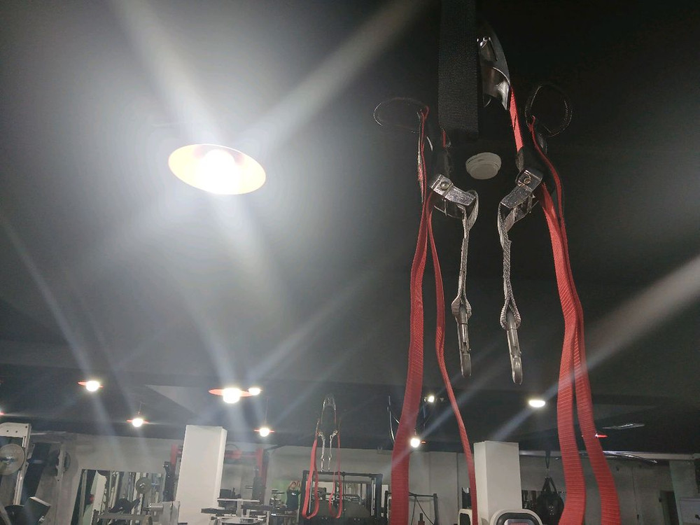 홈짐 중고헬스기구 rip 60 trx 2개 이미지