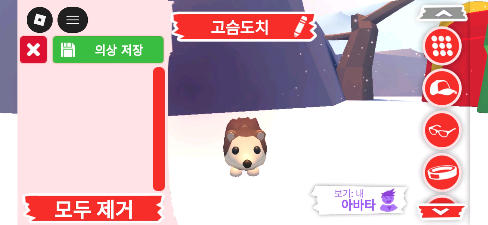 입양하세요 팻 고슴도치 (도치) 입양하세요 팻 고슴도치 (도치) 팝니다 이미지