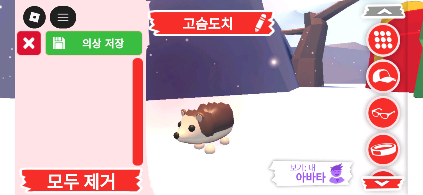 입양하세요 팻 고슴도치 (도치) 입양하세요 팻 고슴도치 (도치) 팝니다 이미지