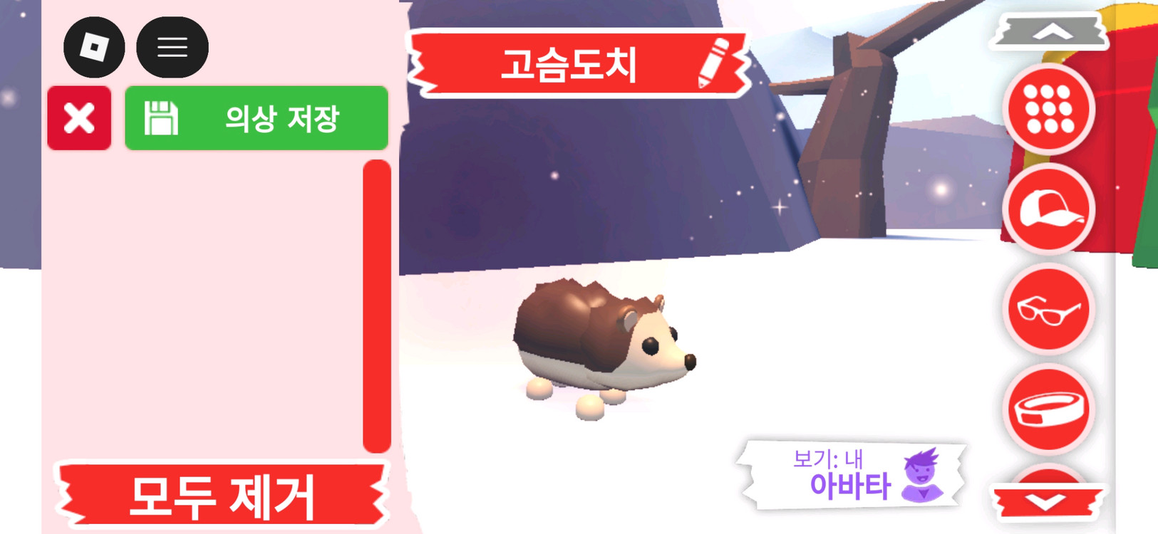 입양하세요 팻 고슴도치 (도치) 입양하세요 팻 고슴도치 (도치) 팝니다 이미지