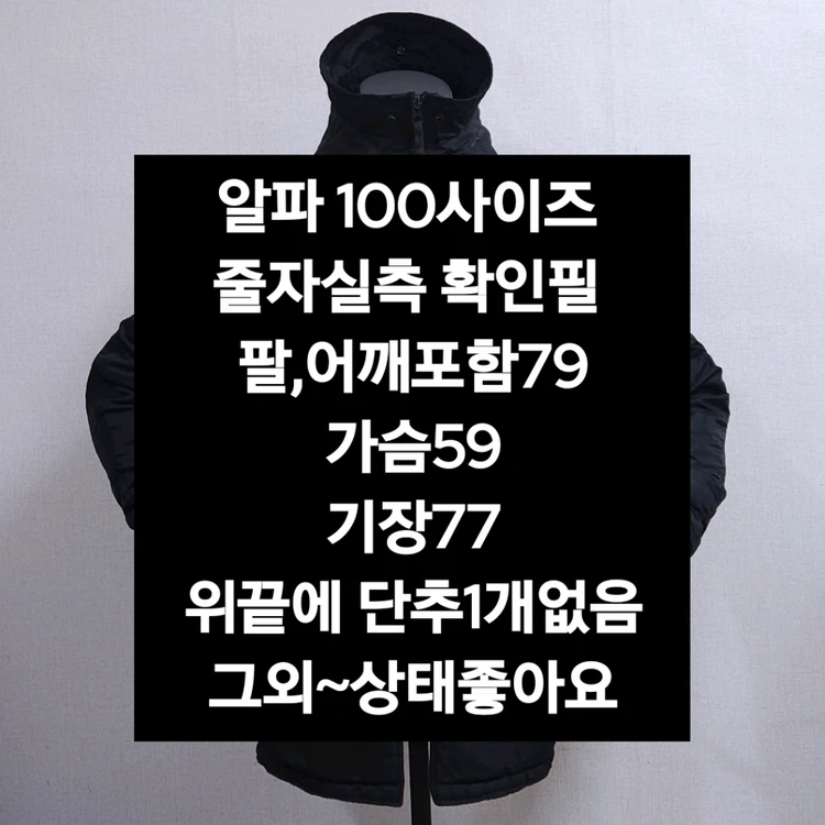 알파인더스트리 중기장 패딩 100 이미지