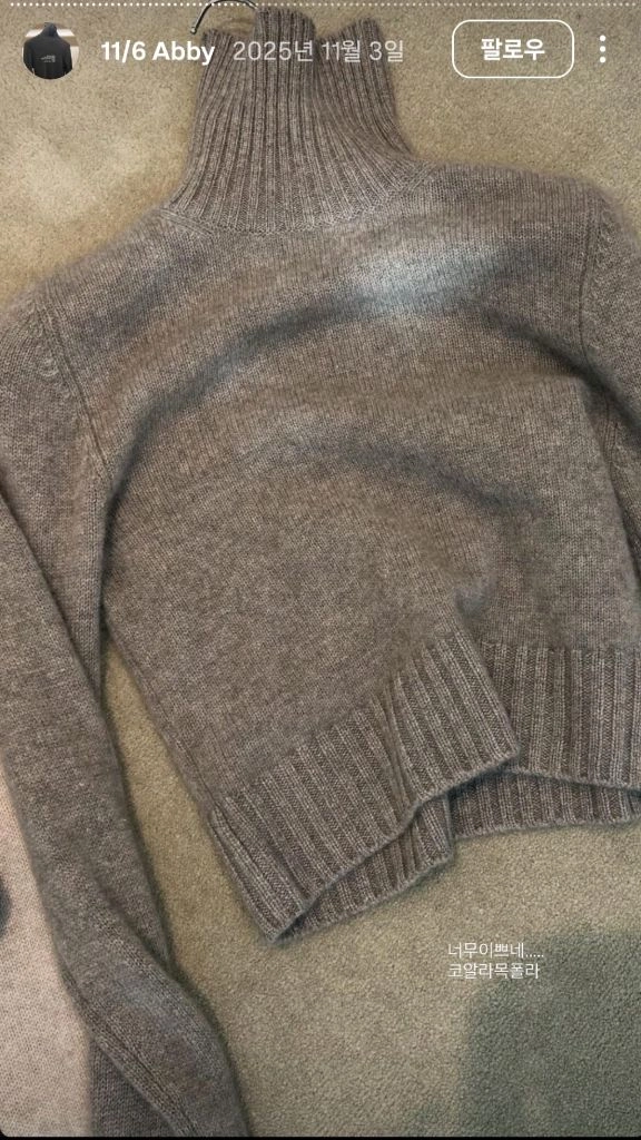 식스앤어하프 터틀넥캐시미어 코알라 m사이즈 ABBY TURTLENECK SWEATER - KOALA 이미지
