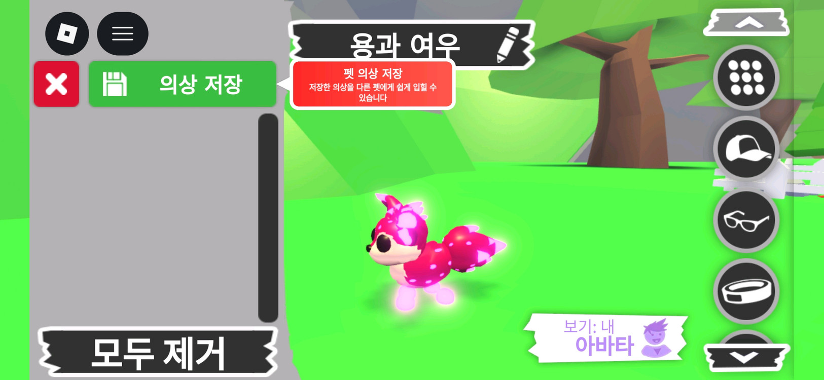 입양하세요 펫 메가네온 용과 여우 판매합니다 이미지