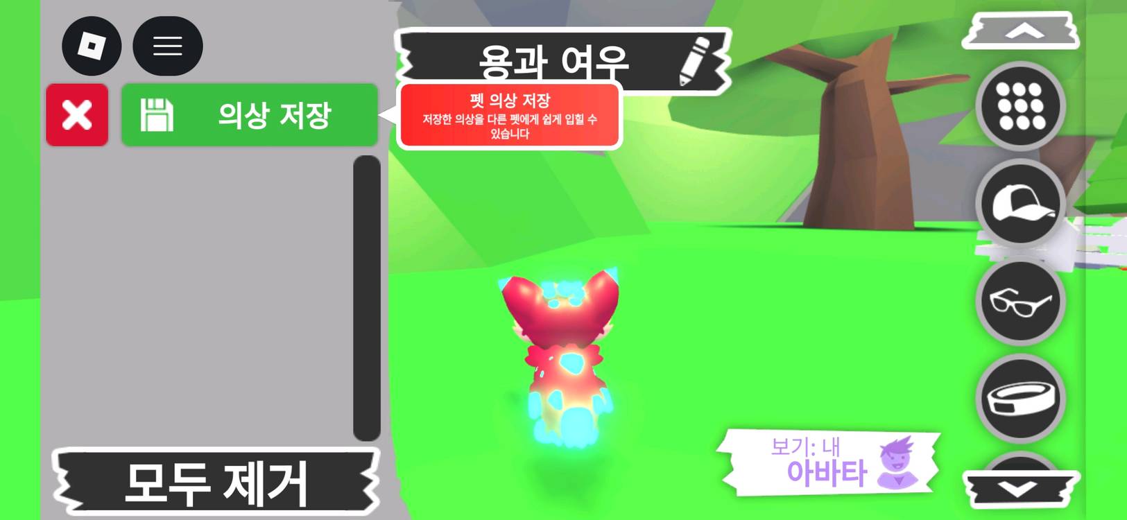 입양하세요 펫 메가네온 용과 여우 판매합니다 이미지
