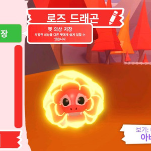 입양하세요 펫 메가네온 로즈 드래곤 (메로드) 판매합니다. 이미지