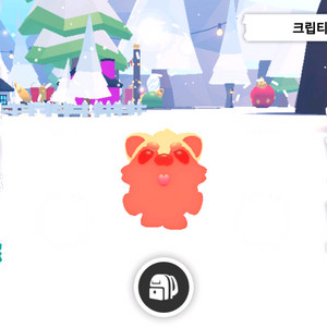 입양하세요 펫 메가네온 크립티드 판매합니다 이미지