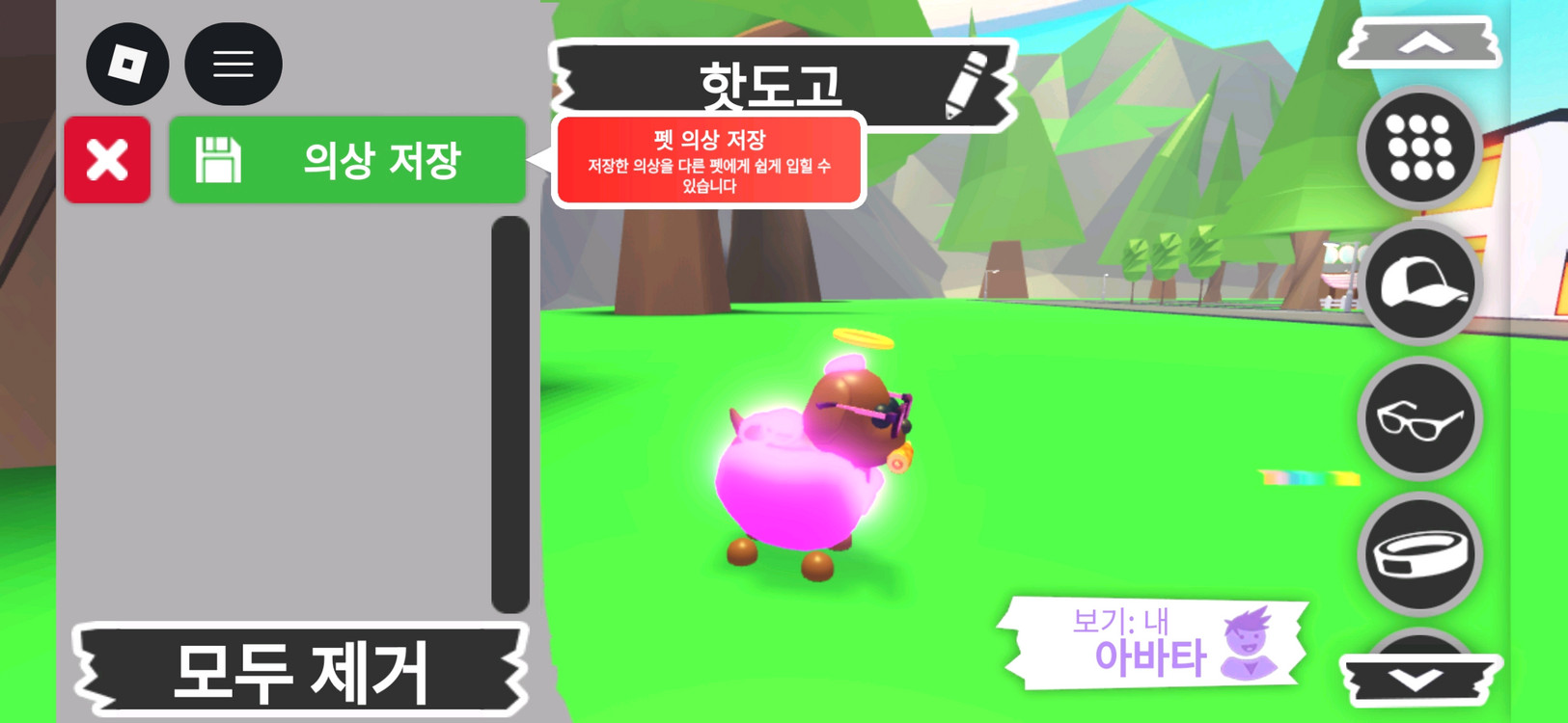 입양하세요 펫 메가네온 핫도고 판매합니다 이미지