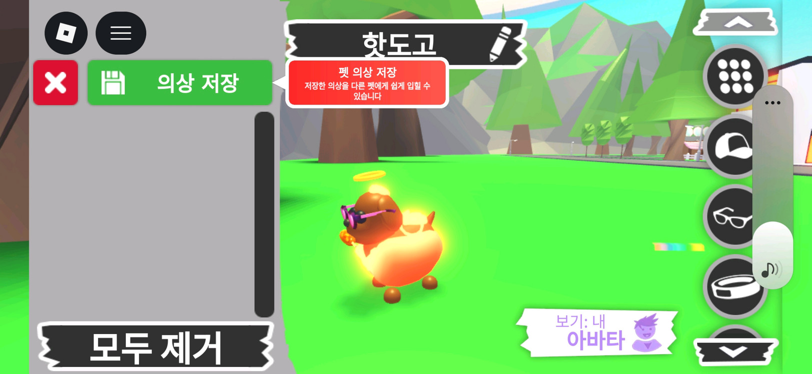 입양하세요 펫 메가네온 핫도고 판매합니다 이미지