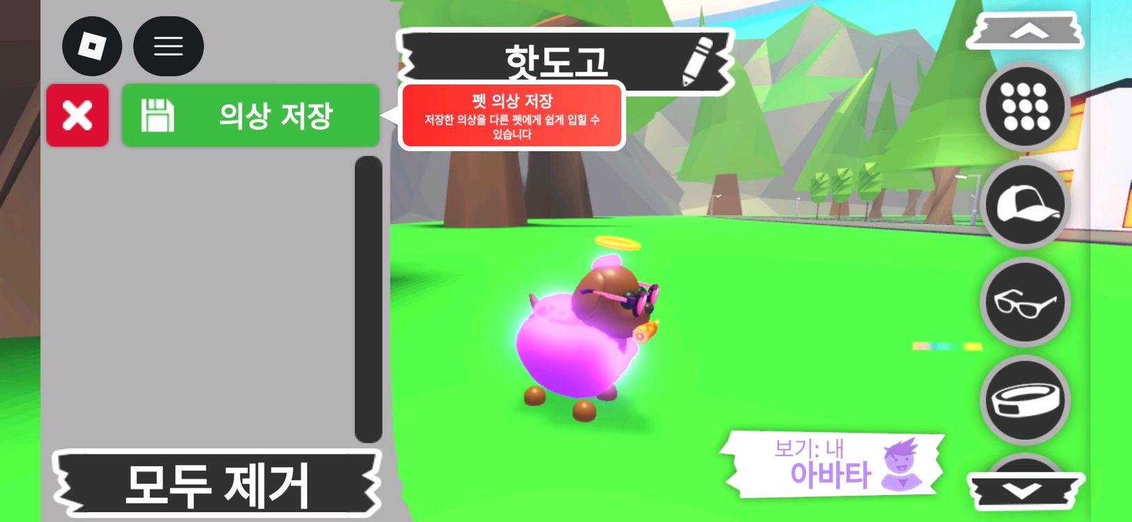입양하세요 펫 메가네온 핫도고 판매합니다 이미지