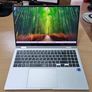 삼성전자 갤럭시북 프로 360 NT950QDY-A51AS (i5-1135G7/16GB/512GB) 이미지
