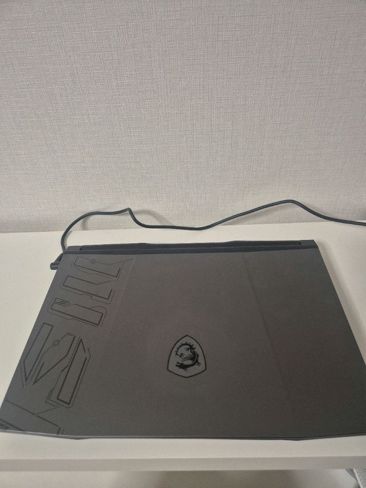 msi 펄스15 4070 32기가램 이미지