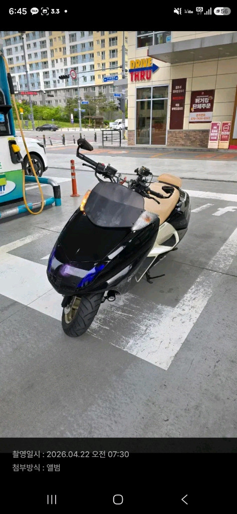 막삼 250 모르포스 이미지