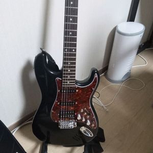 벤티볼리오 파라볼릭 디럭스 이미지