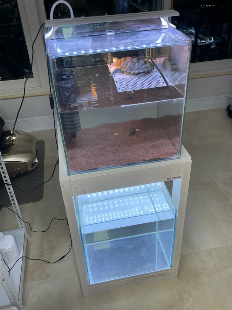 (경기 북부) 테라핀 키우던 거북이 어항 받침대 축양장 + 45큐브 수조 세트 상태 A급 판매 (개별 가능) 이미지