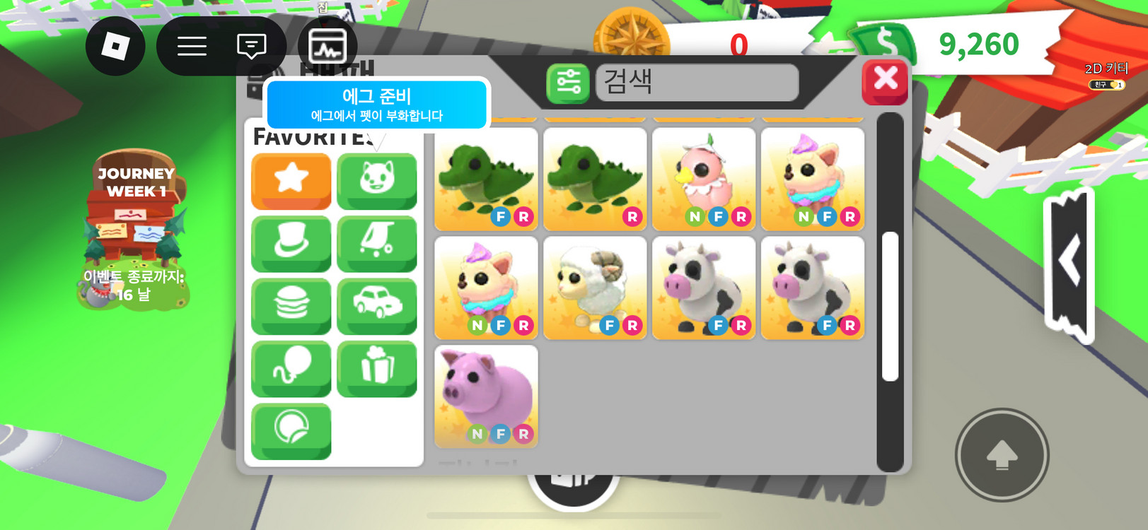 입양하세요 펫 판매합니다 이미지