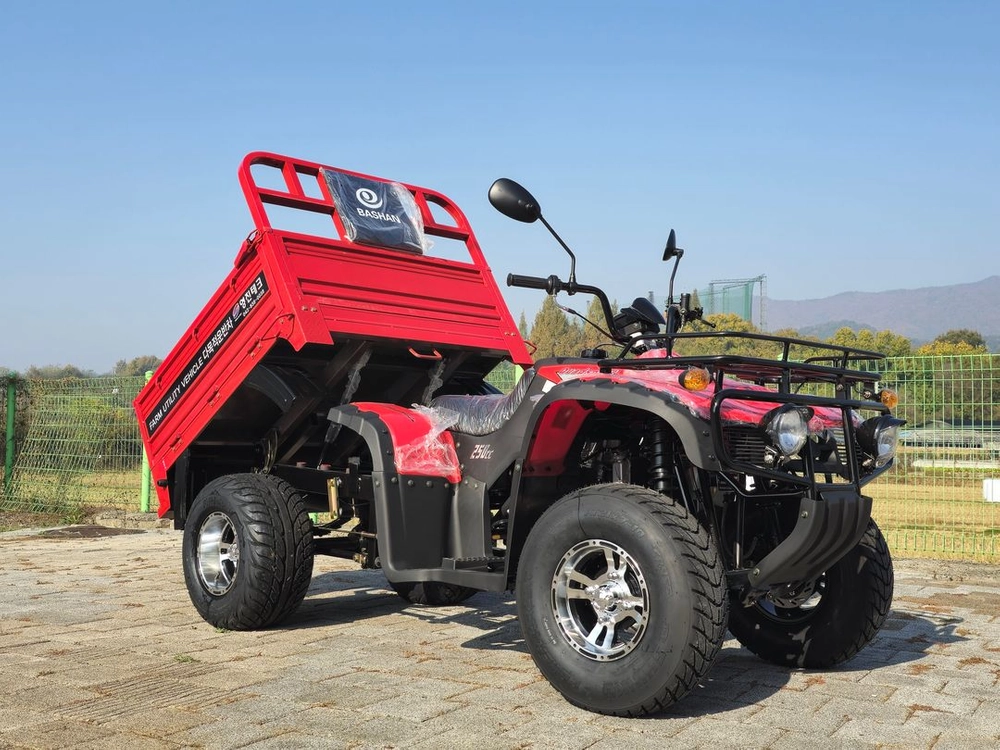 영진테크/250cc/화물오토바이/사륜오토바이/ATV 이미지
