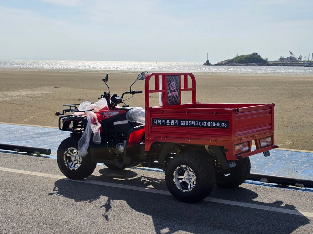 영진테크/250cc/화물오토바이/사륜오토바이/ATV 이미지