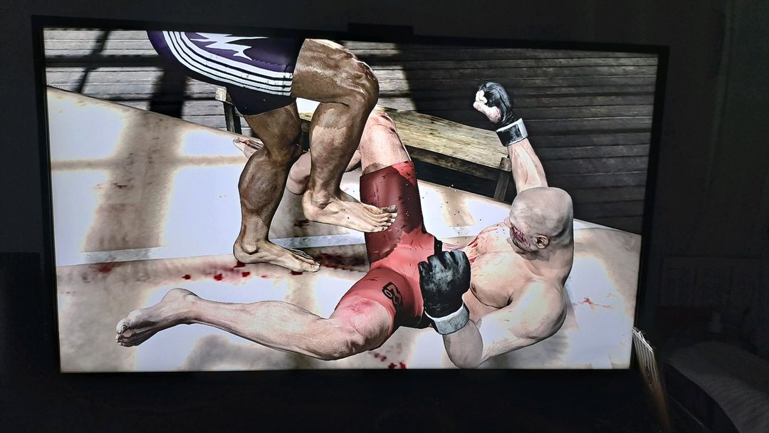 ps3 mma 격투 게임 이미지