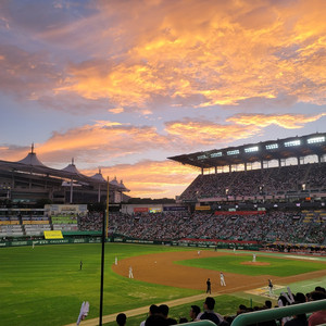 6/5일~6일 SSG랜더스 KT위즈 바베큐존 바비큐존 2층테이블석 스카이탁자 노브랜드 이미지