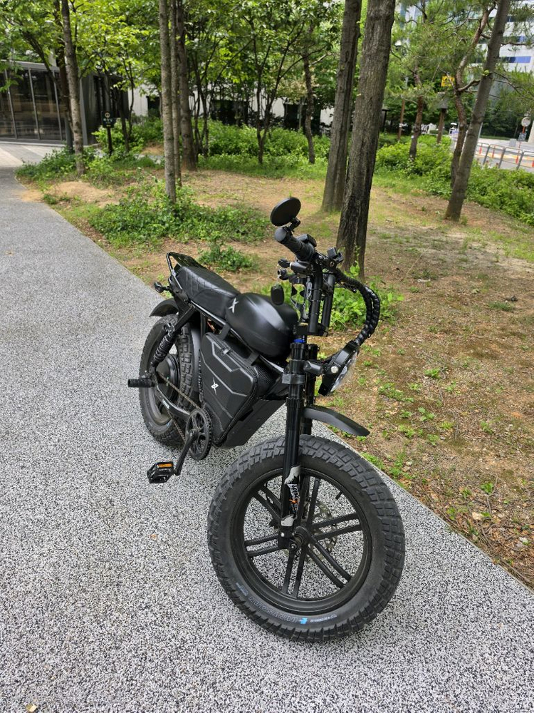 엑스라이더 2000w 터보 55ah 프로 24년식 이미지