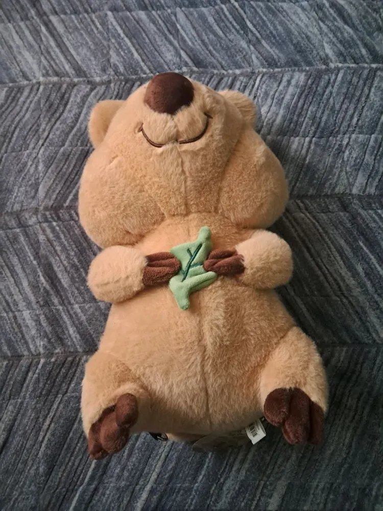 [급전] 각종 인형들 이미지