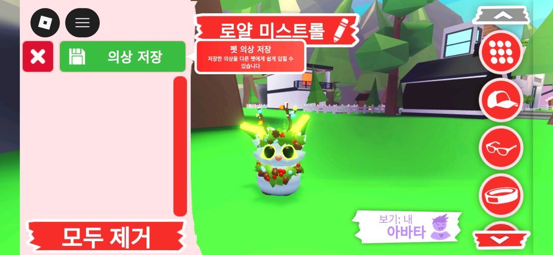 입양하세요 펫 메가네온 로얄 미스트롤 판매합니다 이미지