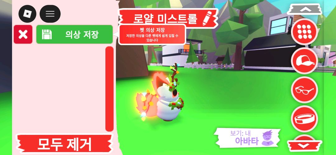 입양하세요 펫 메가네온 로얄 미스트롤 판매합니다 이미지