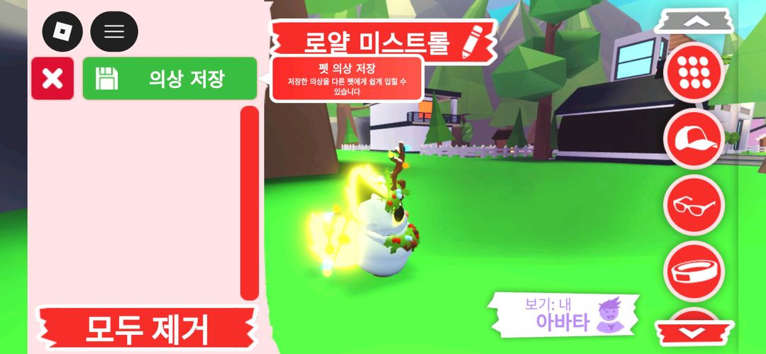 입양하세요 펫 메가네온 로얄 미스트롤 판매합니다 이미지