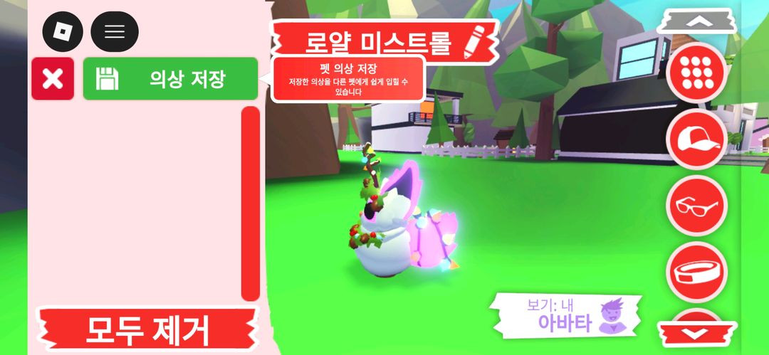 입양하세요 펫 메가네온 로얄 미스트롤 판매합니다 이미지