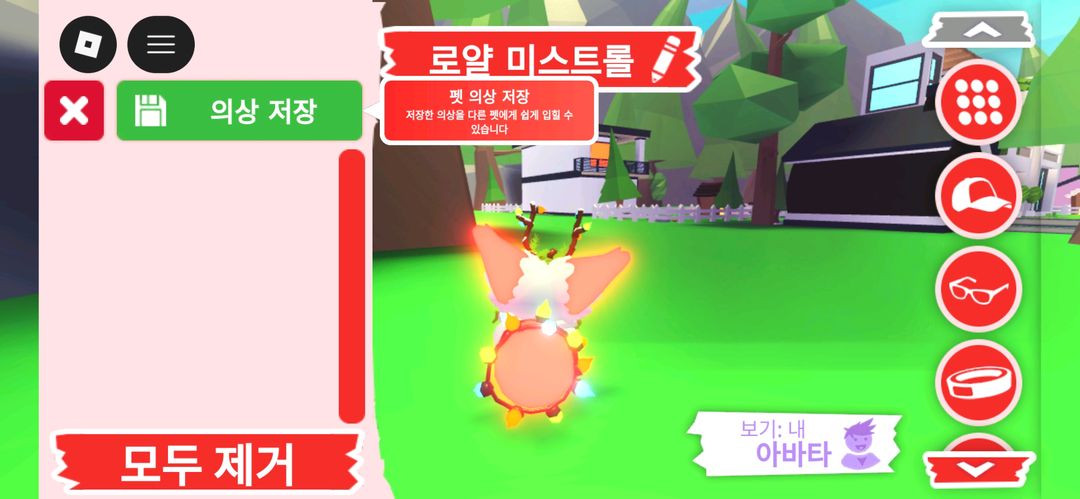 입양하세요 펫 메가네온 로얄 미스트롤 판매합니다 이미지