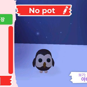 입양하세요 펫 무능 올빼미(부엉이)(뵝)판매합니다 이미지