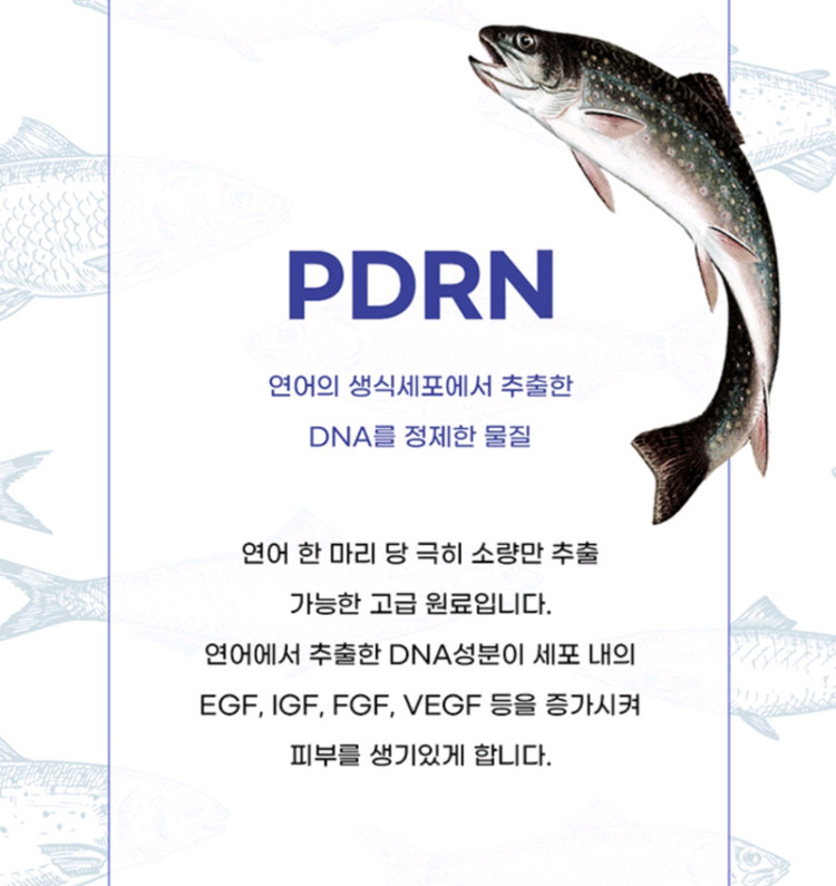 블랑두부 누본셀 두부톤업 이미지