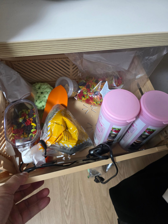 피그미다람쥐 분양합니다 이미지