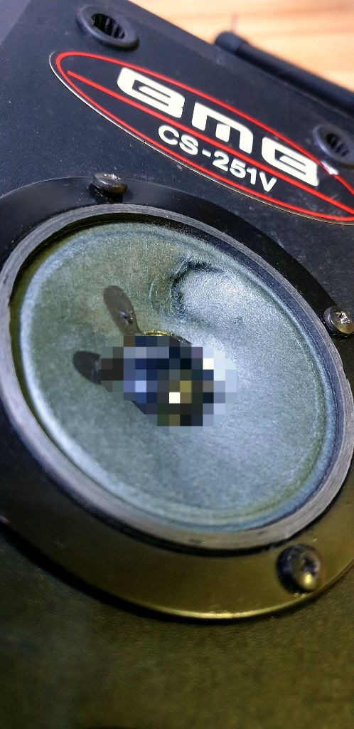 BMB CS-251V 스피커 250W 1조(패시브) 이미지