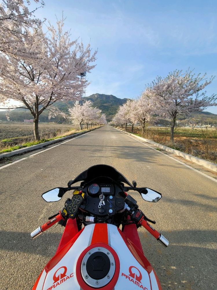 코멧650RC 17년 650cc 미들급바이크 중고오토바이 이미지