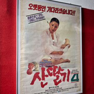 근대 산딸기4 영화포스터 56*76 이미지