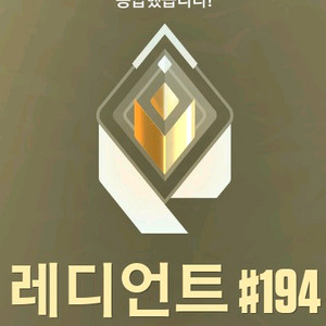 발로란트 레디언트 굿즈 이미지