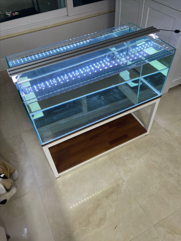 (경기 북부) 3자 광폭 수조 90x45x45 8T + 프리미엄 멀바우 축양장 어항 받침대 뚜껑 세트 S급 판매 이미지
