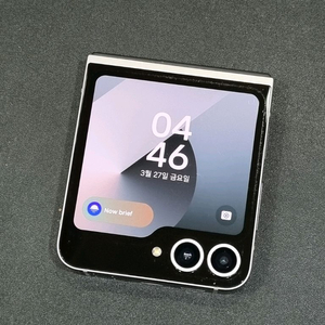 갤럭시플립6 256GB 실버쉐도우 F741N 이미지
