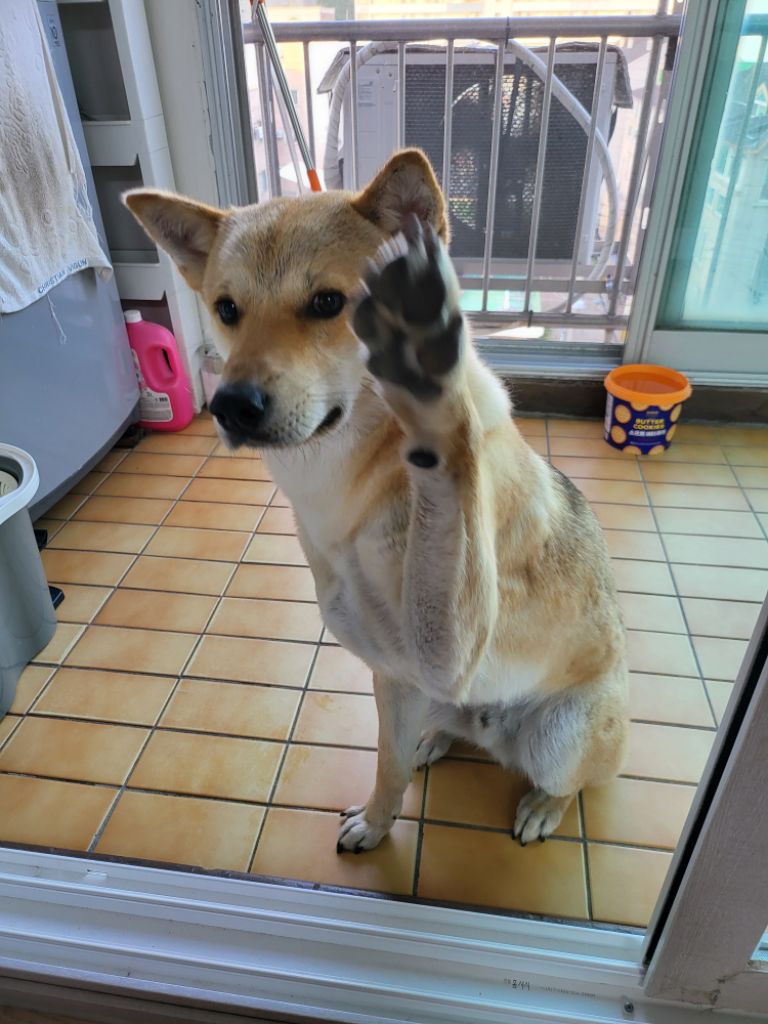 프로필 이미지