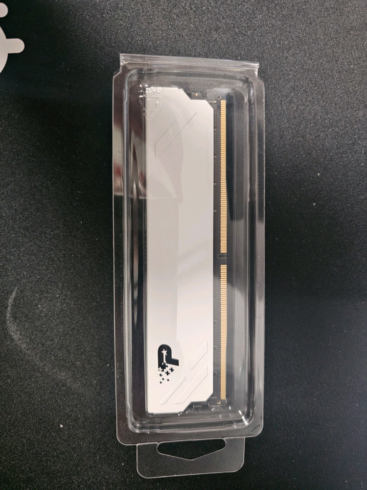 DDR5 16GB 메모리, PATRIOT DDR5-6000 CL30 SIGNATURE PREMIUM EVO 화이트 이미지